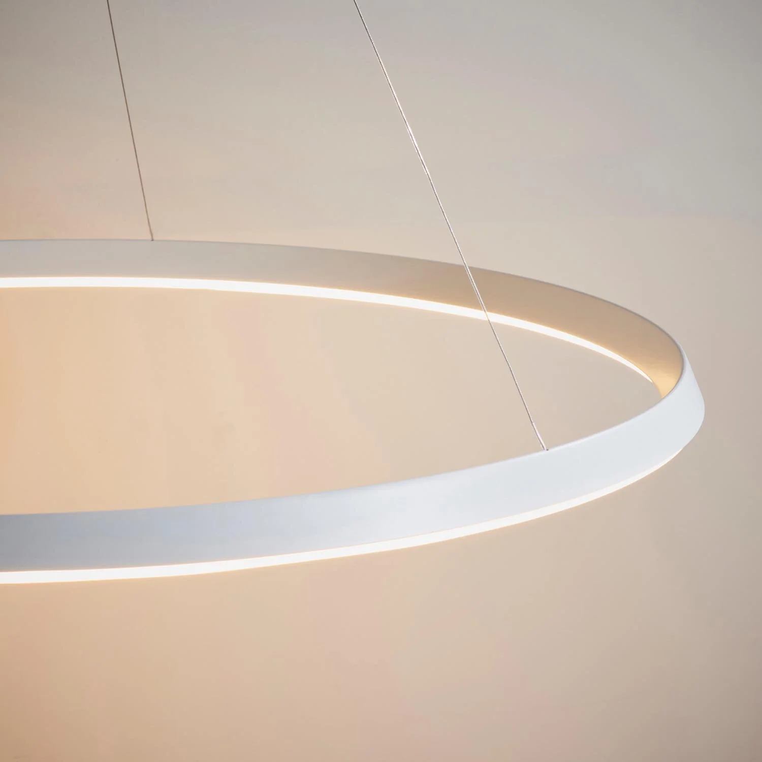 Eden Ring Ceiling Pendant - Image 2