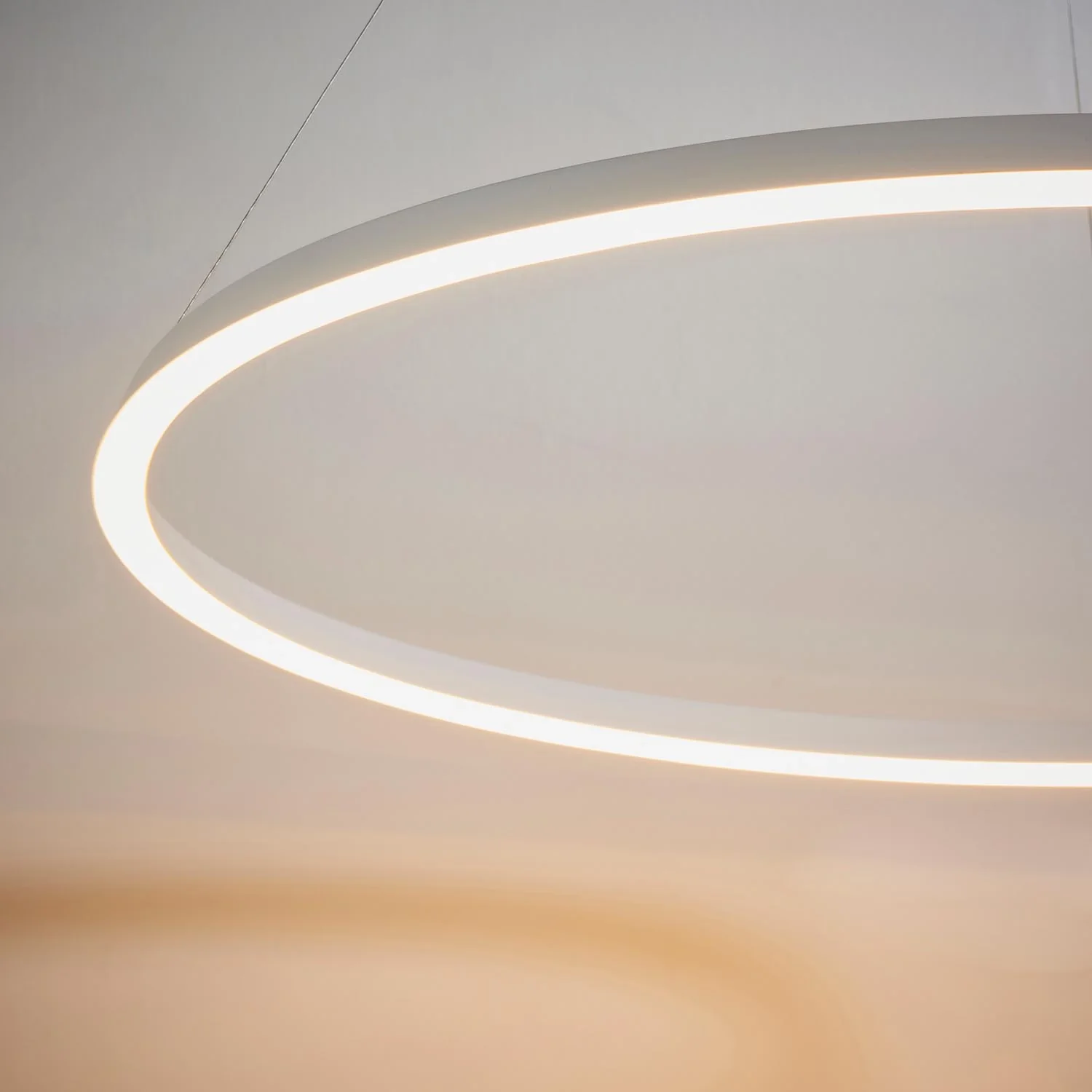 Eden Ring Ceiling Pendant - Image 3