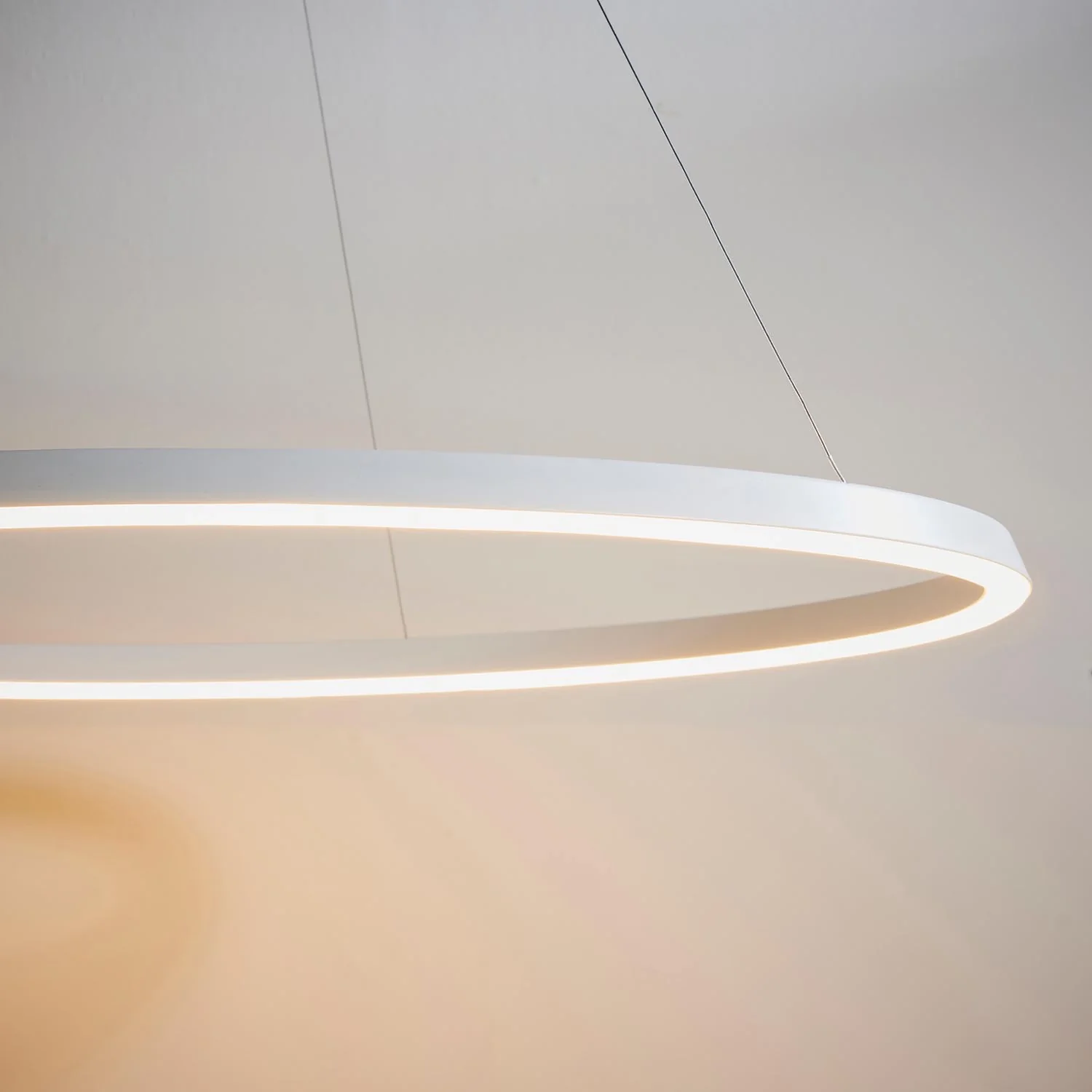 Eden Ring Ceiling Pendant - Image 4