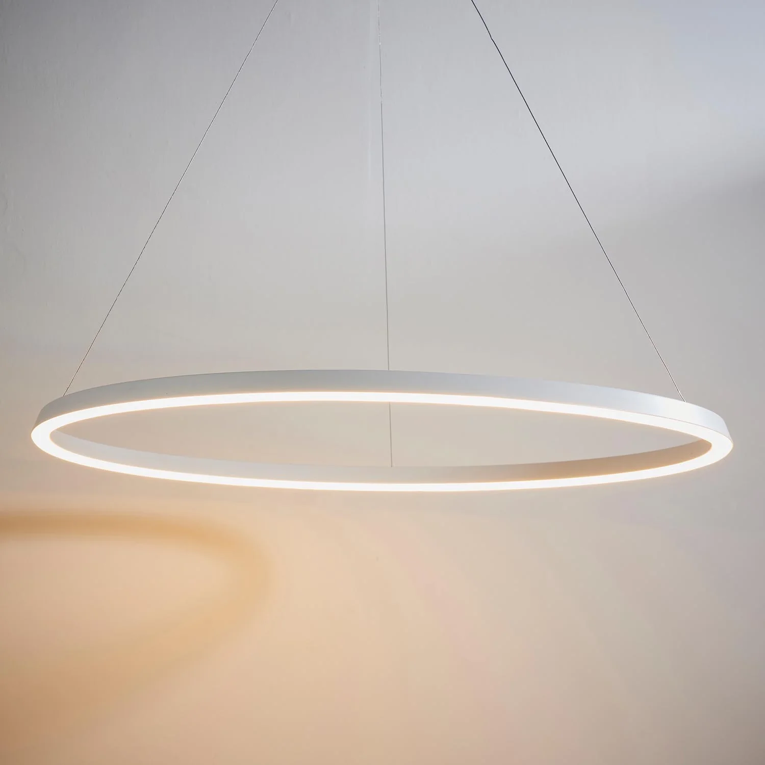 Eden Ring Ceiling Pendant - Image 6
